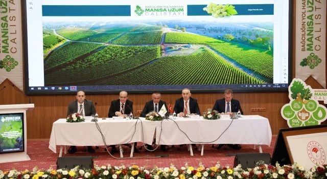 Manisa'da Üzüm Çalıştayı: Bağcılık İçin Yeni Stratejiler Geliştirildi  