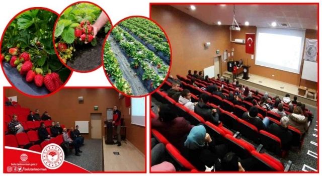 Bolu'da Çilek Yetiştiriciliği Kursu: Seben'de Üreticiler Alternatif Ürünlerle Tanışıyor  
