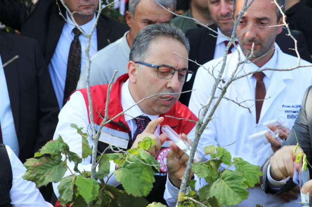 Tarım Bakan Yardımcısı Gümen Samsun'da: 