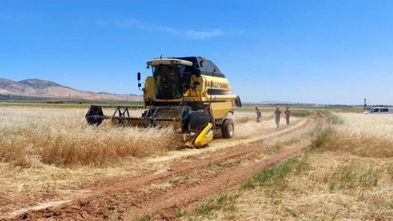 Kuraklık riski hububat fiyatlarını artırıyor! Arpa fiyatı 10 bin lira sınırına yaklaştı