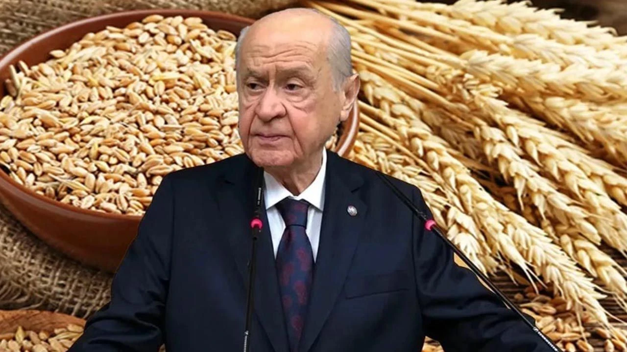 MHP'nin askıda buğday projesi, TMO'nun stoklarındaki buğdaylar için beklenti oluşturdu!
