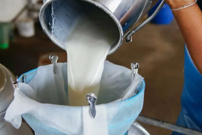 Çiğ süt üretimi azaldı