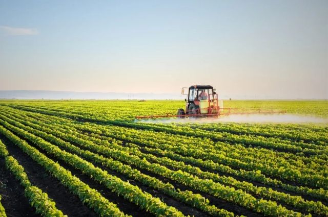 Çiftçiye Müjde: 5,9 Milyar TL Destekleme Ödemesi Hesaplara Yatırılıyor