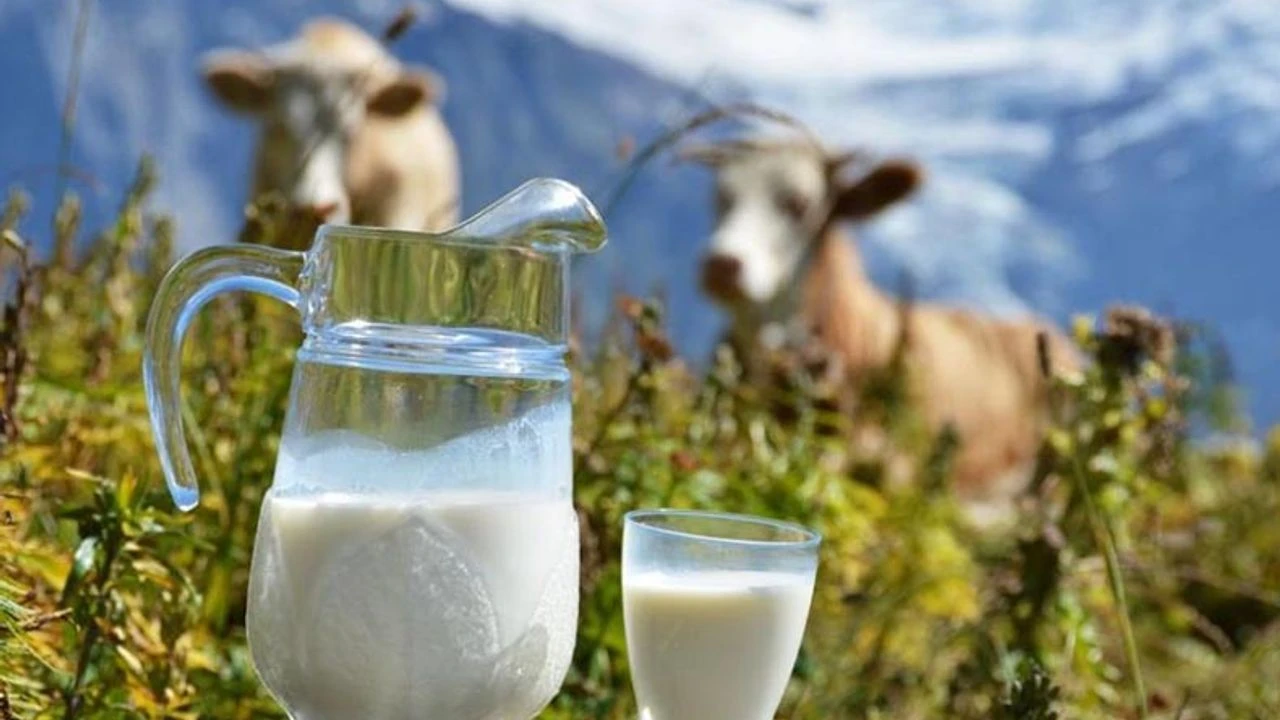 Çiğ sütte maliyetler artmaya devam ediyor! USK 1 litre sütün Ocak ayı üretim maliyetini açıkladı!