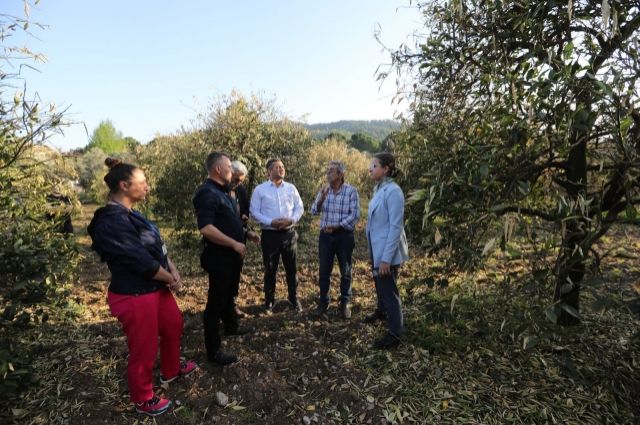 Don Vuran Narenciye Üreticisine Büyükşehir'den Destek Eli