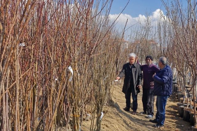Fidan Dikiminde Dikkat Edilmesi Gerekenler: İl Müdürü Taşkesen'den Uyarılar 