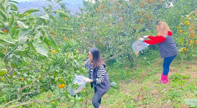 Giresun'da Pestisit Denetimleri Başarıyla Devam Ediyor  