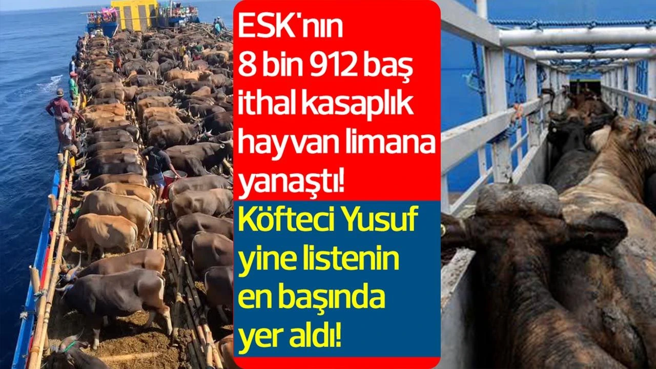 ESK'nın 8 bin 912 baş ithal kasaplık hayvan limana yanaştı! 