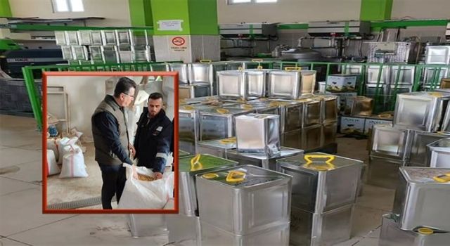 Şanlıurfa'da Zeytin ve Fıstık Üretiminde Beklentiler Yüksek  