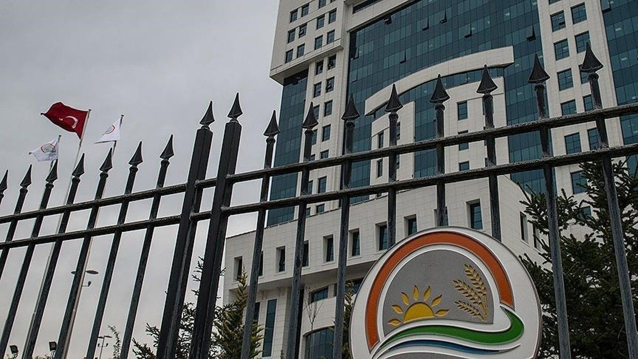 Dört kent daha Kırsal Dezavantajlı Alanlar Kalkınma Projesi'nde!