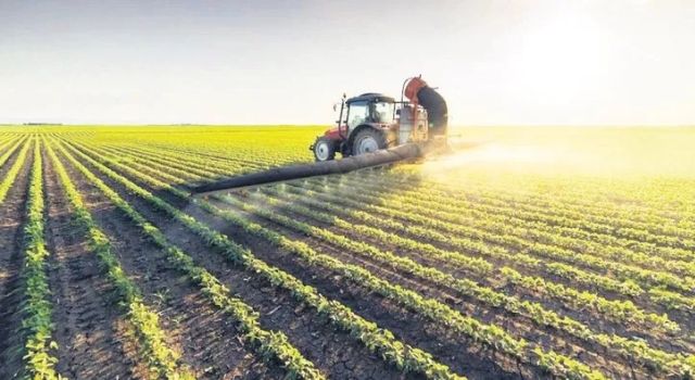 Tarım ve Orman Bakanlığı'ndan Çiftçilere 331 Milyon TL Destek Ödemesi  