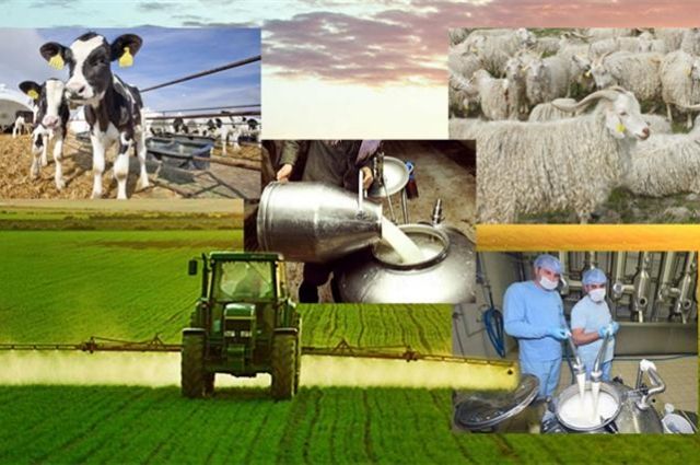 TKDK'dan Kırsala 50 Milyon Avroluk Hibe Desteği 