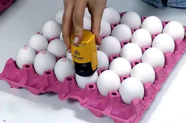Yumurta İhracatına Yeni Düzenleme: Kilogram Başına 50 Cent Kesinti Uygulanacak 